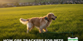 GPS trackers