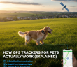 GPS trackers