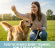 Positive Reinforcement Training